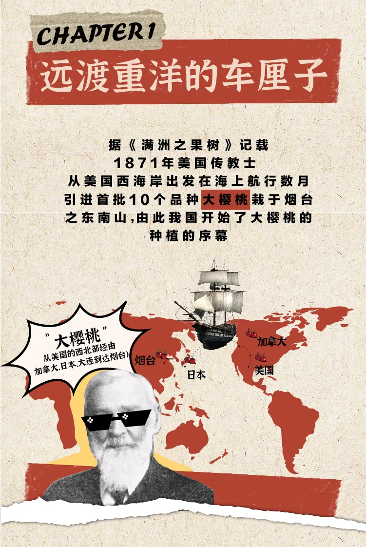 茶桔便产品-大樱桃奶茶